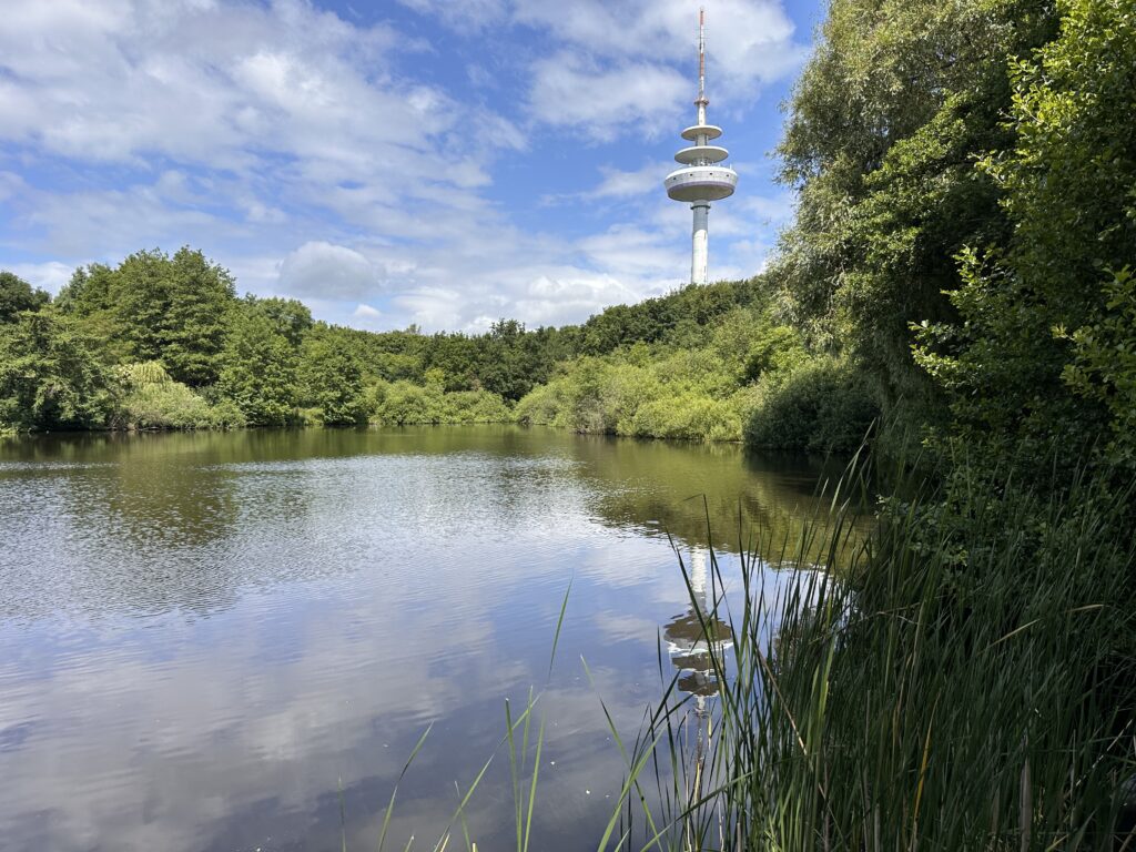 Blick über den Stadtteich mit Angelplatz am Ufer