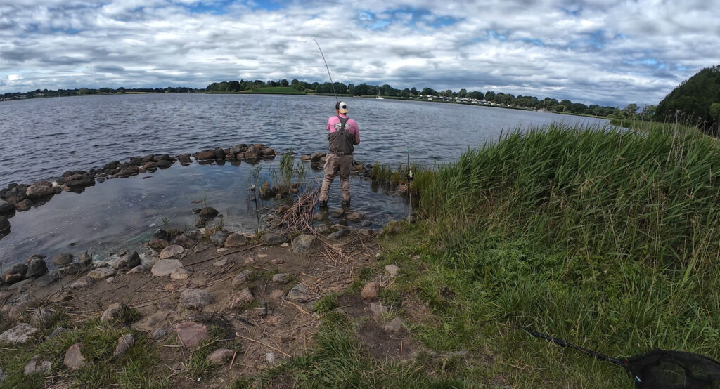 Barschangeln an der Schlei