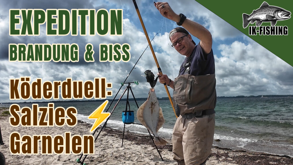 Expedition-Brandung-und-Biss-Koederduell-Salzies-vs-Garnelen