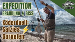 Expedition-Brandung-und-Biss-Koederduell-Salzies-vs-Garnelen