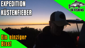 Meerforellenangeln im Sommer