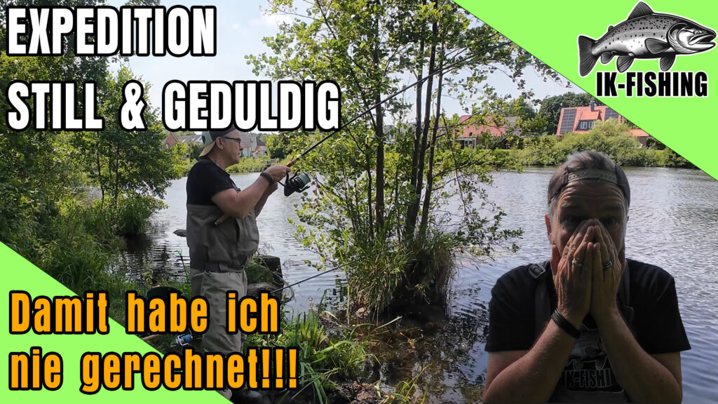 Feedern am Stadtteich
